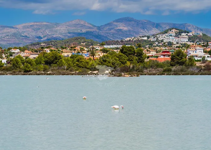 Βίλα Moose Ifach